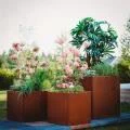 Round Flower Pots