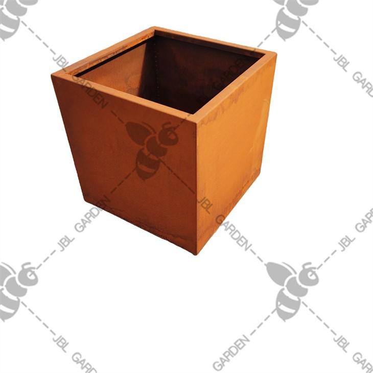 Pianta Corten