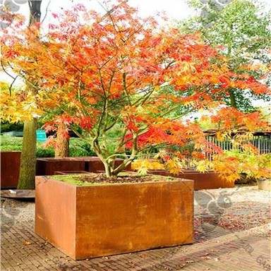 Acciaio Corten Portland