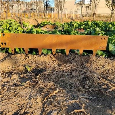 Decorazione esterna per l'abbellimento