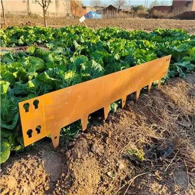Bordo del paesaggio del giardino del metallo d'acciaio