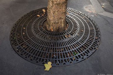 Alberi metallici di protezione del marciapiede esterno