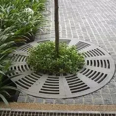 Tree Grate Sizes For Sidewalk